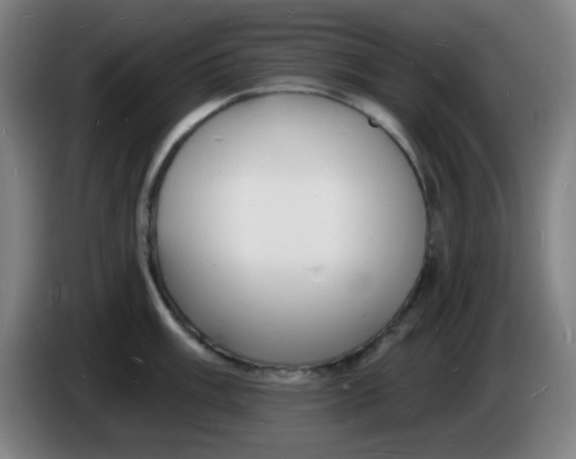 X0000085281003200703301912