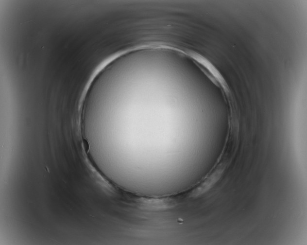 X0000085281004200703301912