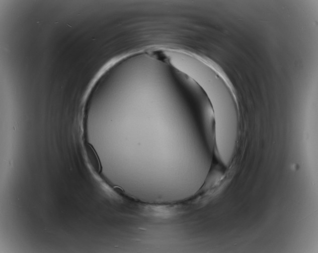 X0000085281005200703301912
