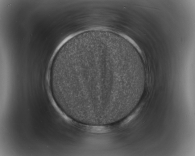 X0000085281007200703301912