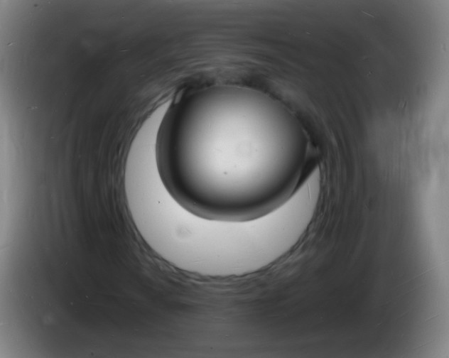 X0000085281010200703301911