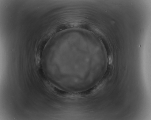 X0000085281011200703301911