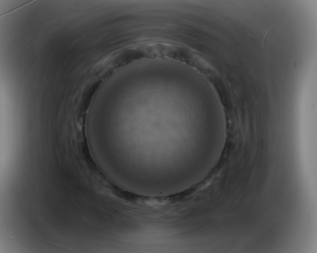 X0000085281013200703301911