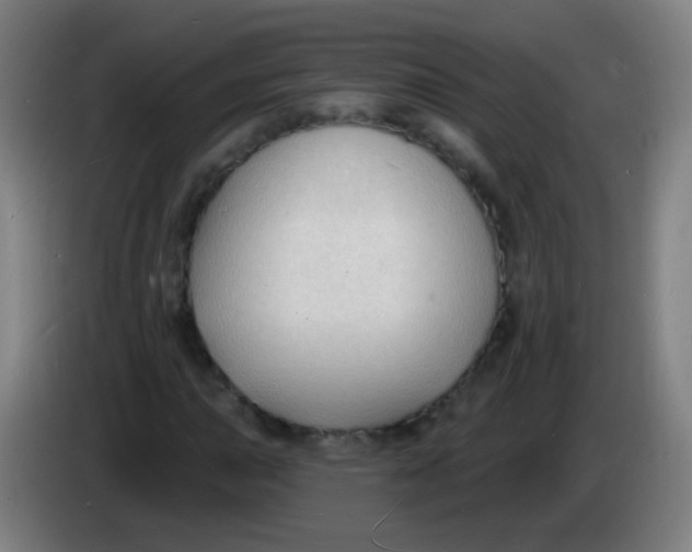 X0000085281015200703301911