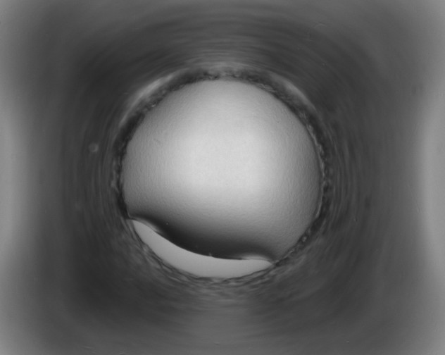 X0000085281016200703301911