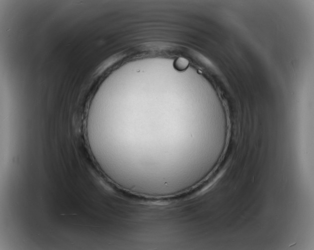 X0000085281017200703301911