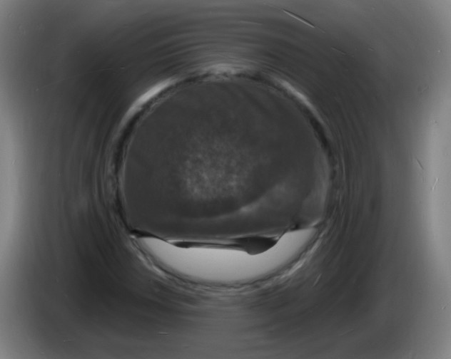 X0000085281018200703301911