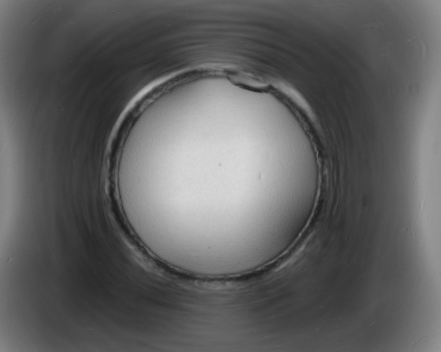 X0000085281020200703301911