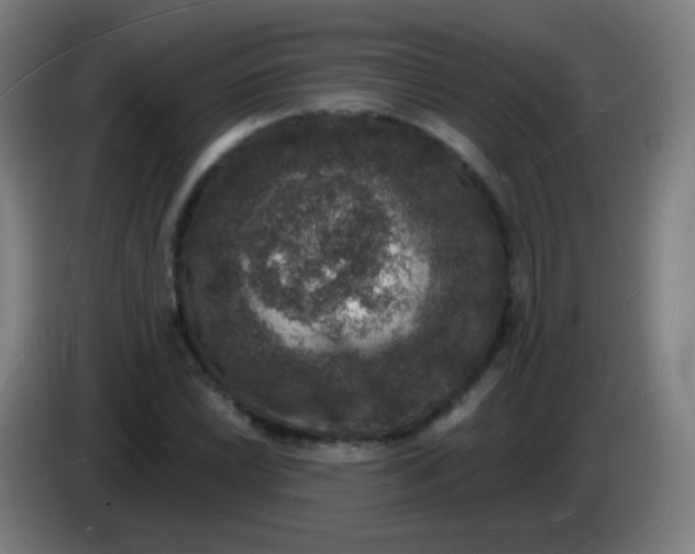 X0000085281022200703301911