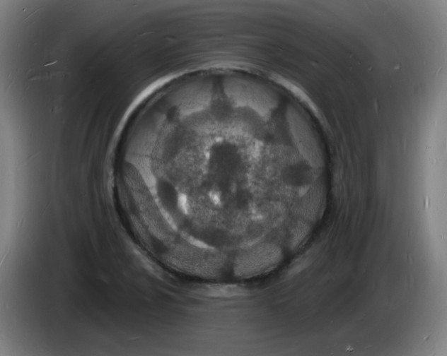 X0000085281024200703301911