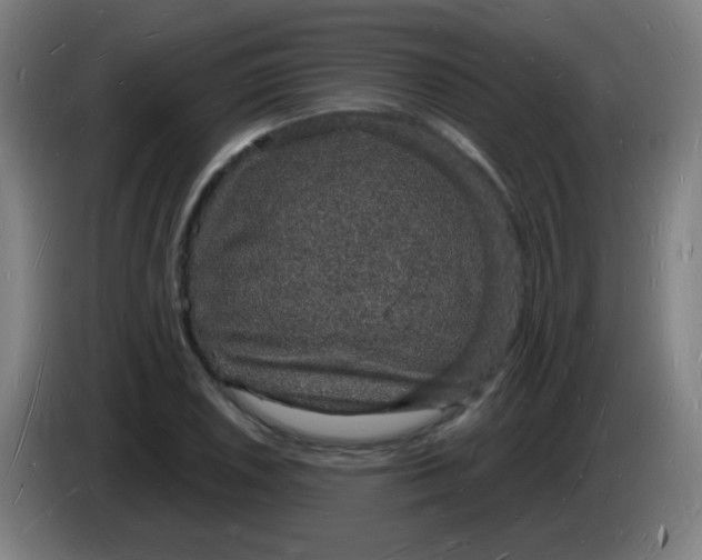 X0000085281026200703301911