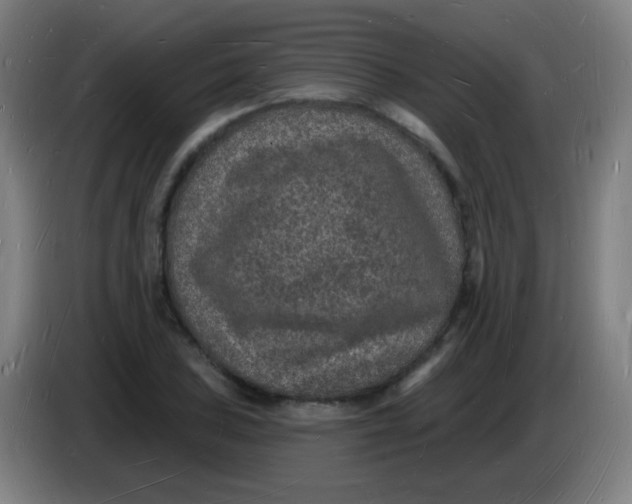 X0000085281027200703301911
