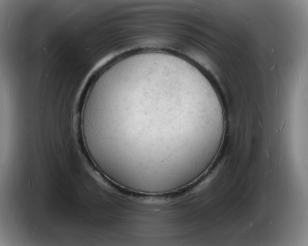 X0000085281029200703301911