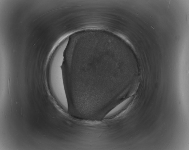 X0000085281030200703301911