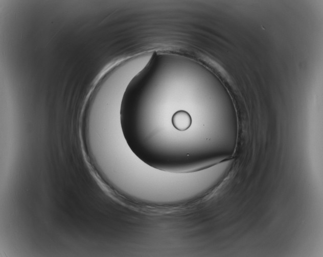 X0000085281034200703301911
