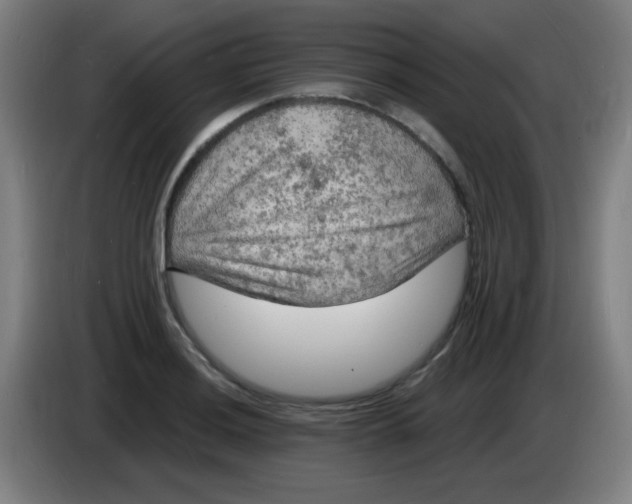 X0000085281036200703301911