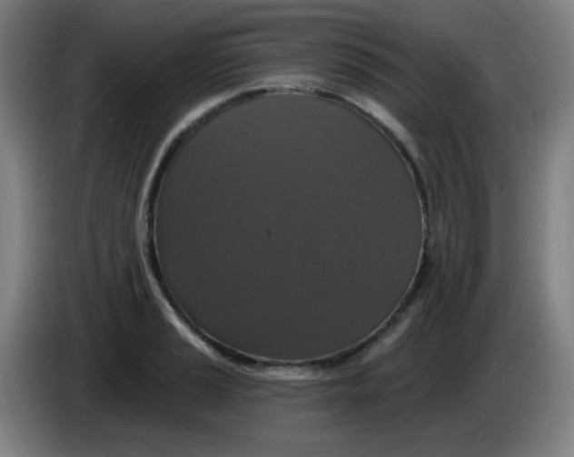 X0000085281037200703301911