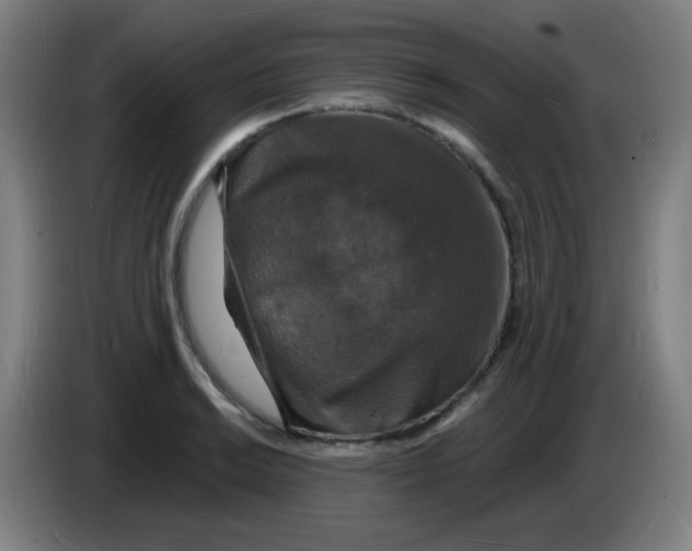 X0000085281038200703301911