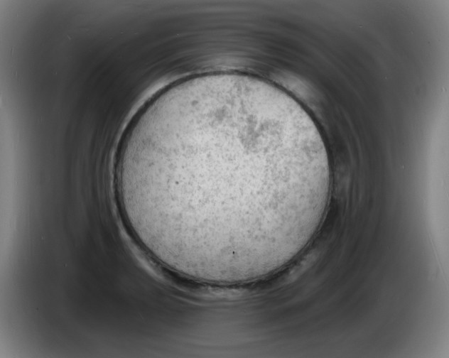 X0000085281039200703301911