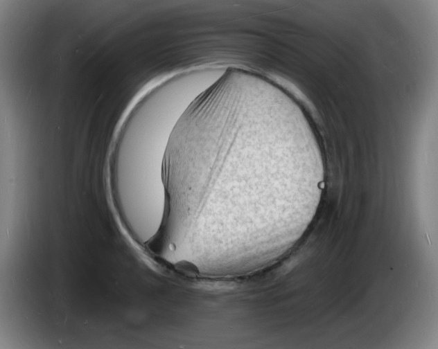 X0000085281040200703301911