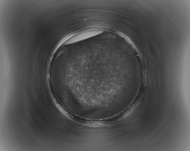 X0000085281042200703301911