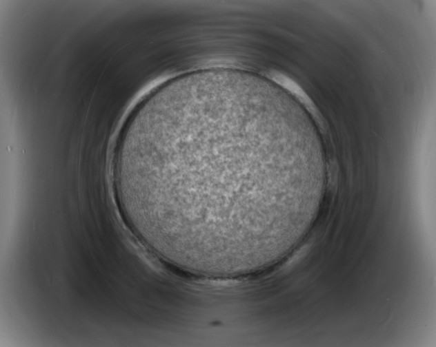 X0000085281043200703301911