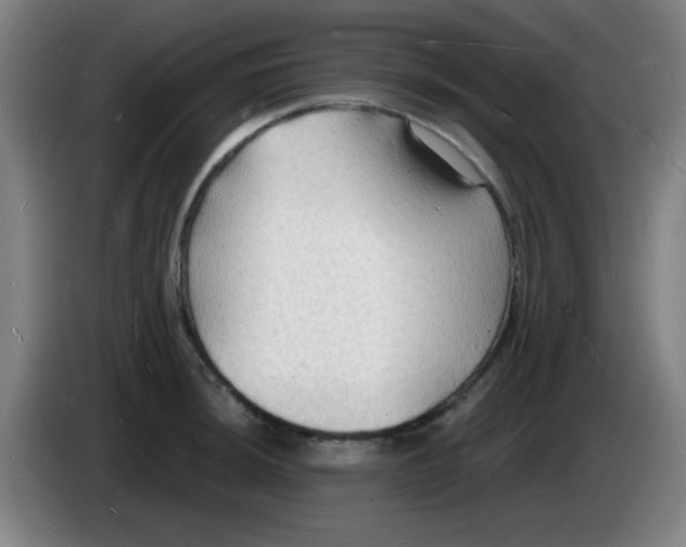 X0000085281044200703301911