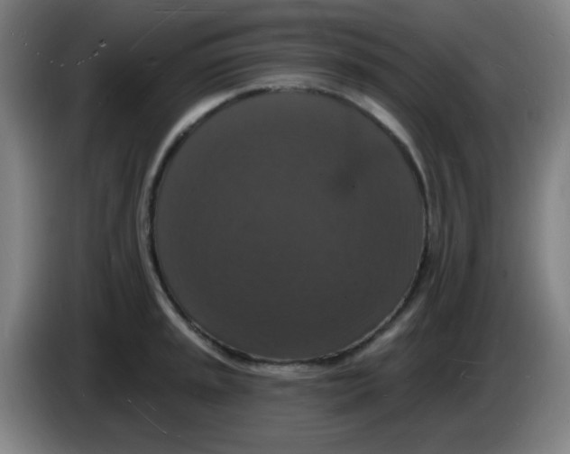 X0000085281045200703301911