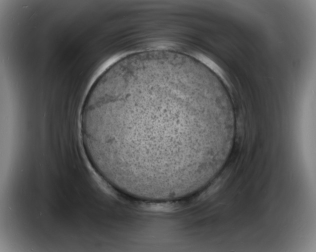 X0000085281047200703301911