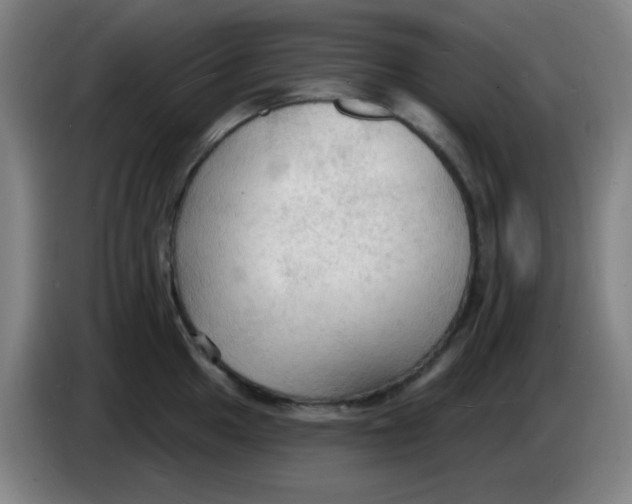 X0000085281049200703301911