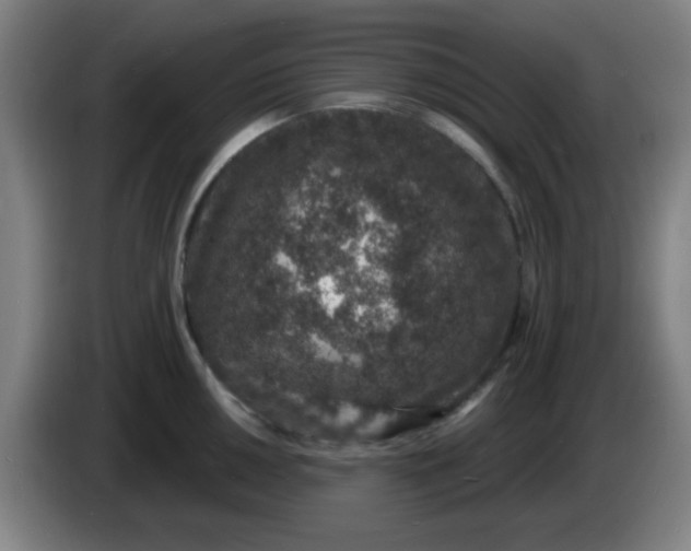 X0000085281050200703301911