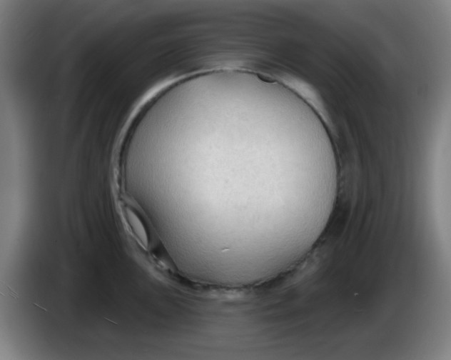 X0000085281051200703301911