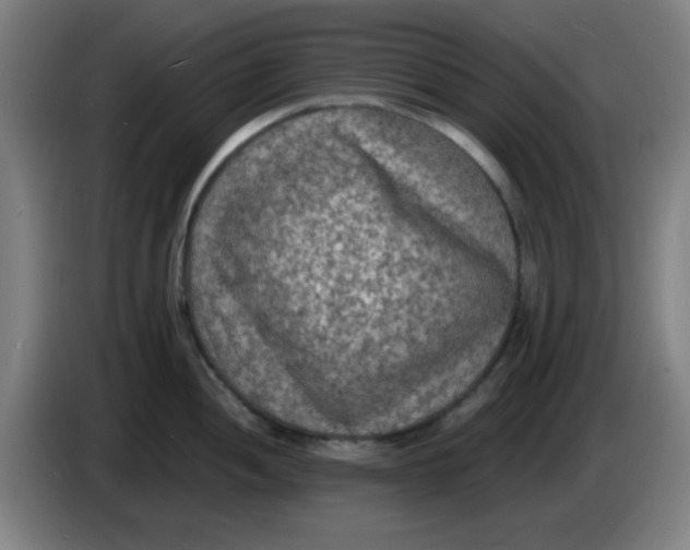 X0000085281052200703301911