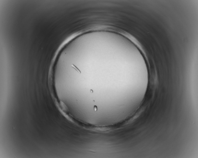 X0000085281053200703301912