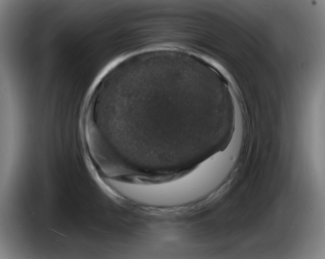 X0000085281054200703301912