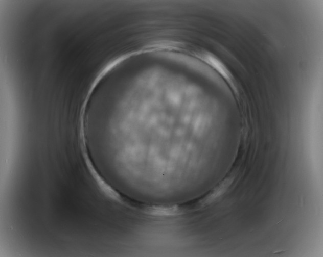 X0000085281055200703301912