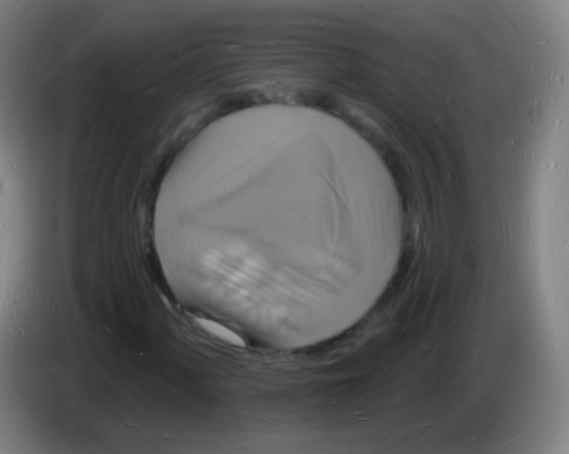 X0000085281060200703301911