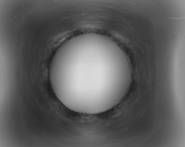 X0000085281061200703301911