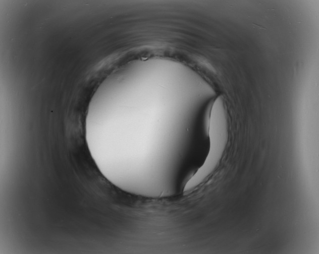 X0000085281062200703301911
