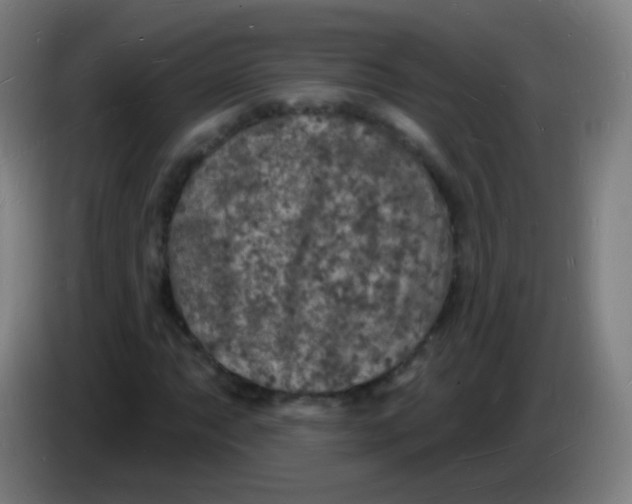 X0000085281063200703301911