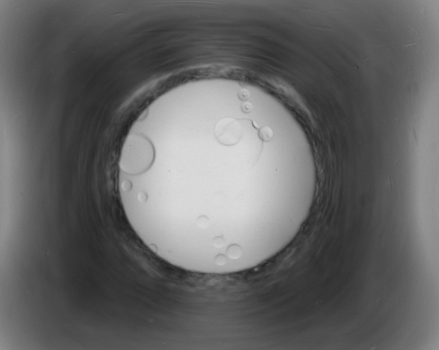 X0000085281064200703301911