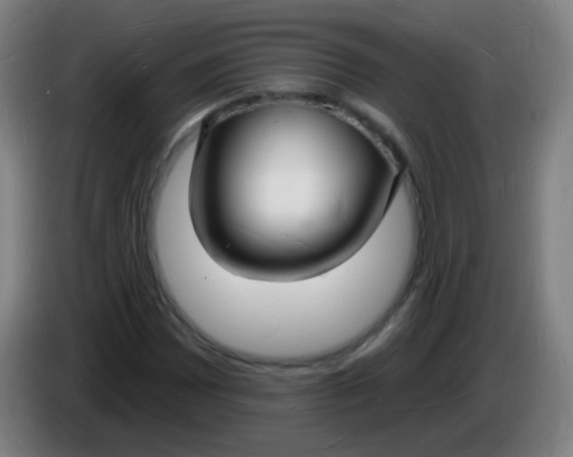 X0000085281065200703301911