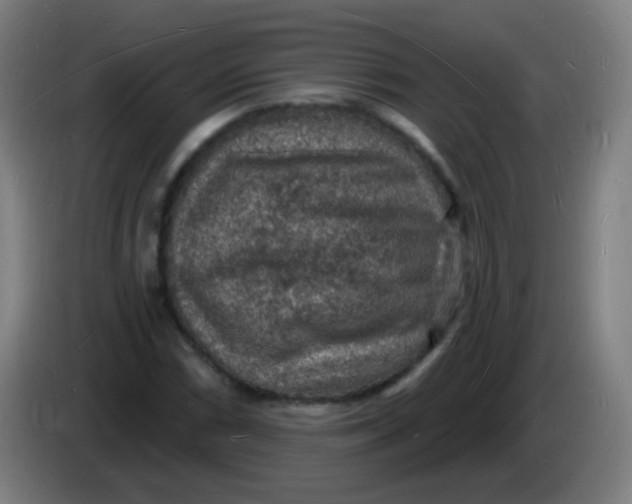 X0000085281066200703301911