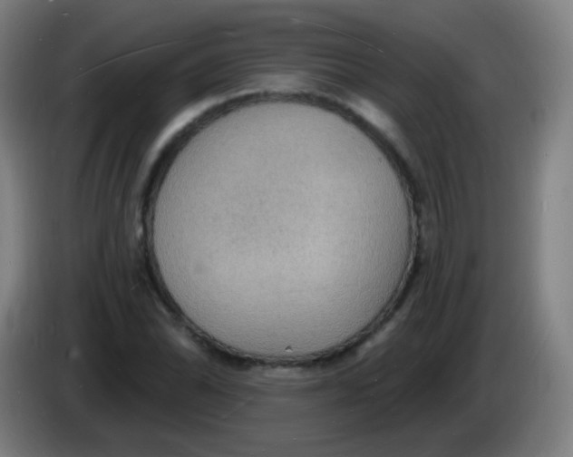 X0000085281070200703301911