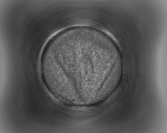 X0000085281072200703301911