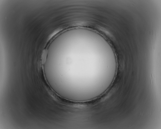 X0000085281073200703301911