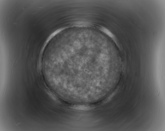 X0000085281074200703301911