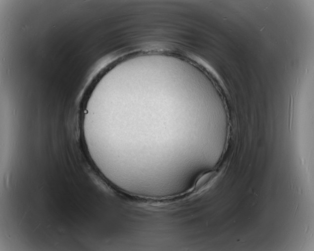 X0000085281075200703301911