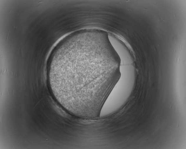 X0000085281076200703301911