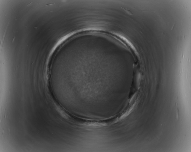 X0000085281077200703301911